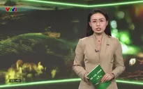 Sự lựa chọn - 19/4/2025