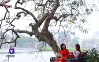 Việt Nam vui khỏe - 19/4/2025