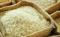Giá gạo Ấn Độ thấp nhất 5 tháng