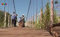 Lâm Đồng: Cầu treo xuống cấp nghiêm trọng, tiềm ẩn nguy cơ mất an toàn