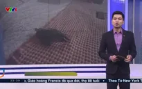 Thế giới hôm nay - 21/4/2025