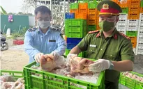 Phát hiện 20 tấn gà ủ muối, nội tạng ''bẩn'' gần chợ đầu mối gia cầm ở Hà Nội