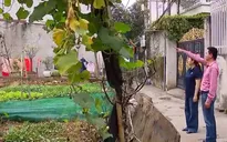 Thận trọng khi mua đất trong quy hoạch hành lang thoát lũ