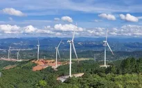 Quảng Trị chấm dứt chủ trương đầu tư 5 dự án điện gió chậm tiến độ