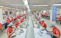 Phát triển kinh tế tư nhân: “Gõ” từng ngành để tạo sức bật cho doanh nghiệp