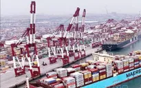 Doanh nghiệp xuất khẩu thận trọng khi giá cước vận tải biến động