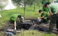 Kiểm định môi trường về khí thải công nghiệp phải tuân thủ đúng quy trình
