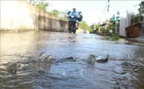 Triều cường ven biển Đông Nam Bộ ở mức cao