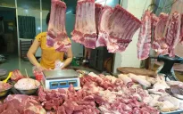 TP Hồ Chí Minh đủ điều kiện để xây dựng sàn giao dịch thịt heo