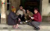 Nhân đạo: Vườn cổ tích