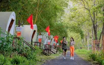 Khánh Hòa: Các đơn vị du lịch rực rỡ cờ hoa, chào đón du khách