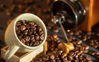 Giá cà phê Arabica tăng mạnh