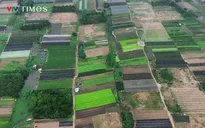 Cận cảnh Khu công nghệ cao sinh học 199 ha tại Bắc Từ Liêm sắp triển khai