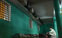 Ngày đặc xá - cơ hội làm lại cuộc đời