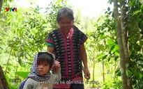 Hành trình vẻ đẹp - 01/5/2025