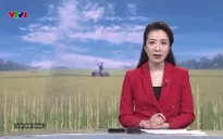 Bản tin tiếng Trung - 01/5/2025