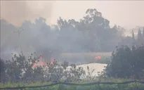 Ukraine điều máy bay giúp Israel dập đám cháy rừng lịch sử