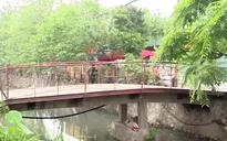 Lo ngại từ những cây cầu tạm, cầu dân sinh xuống cấp tại Hà Nội