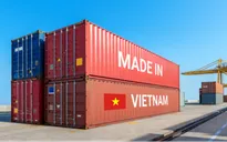 Chiến lược quản trị và khả năng chống chịu kinh tế của Việt Nam trước bất ổn thuế quan