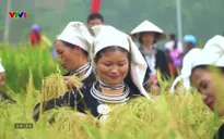 Khát vọng phát triển: An sinh trong kỷ nguyên mới