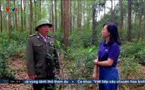 Việt Nam thức giấc - 03/5/2025