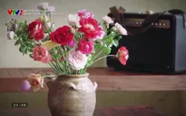 Nội thất không giới hạn: Hướng đi nào cho nội thất Việt