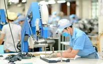 Thúc đẩy tăng trưởng kinh tế tư nhân, giúp doanh nghiệp có thêm niềm tin sản xuất
