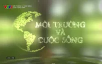 Môi trường và cuộc sống: Giao thông xanh