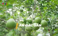 V - Việt Nam: Món ngon từ bưởi Tân Triều