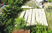 Nhịp đập Việt Nam: Làng nghề hủ tiếu An Bình