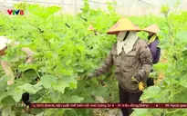 Nóng cùng V8 trưa - 08/5/2025