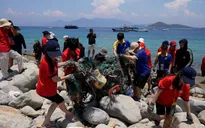 Nha Trang: Tuổi trẻ xung kích vì Vịnh biển xanh – Thả cá, nhặt rác, lan tỏa ý thức