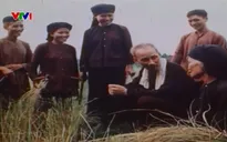 Chủ tịch Hồ Chí Minh - Trọn một đời vì dân