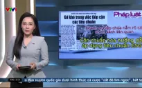 Điểm báo - 10/5/2025