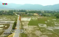 Nhịp đập Việt Nam: Nồi đất Cổ Đạm