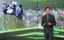 Sự lựa chọn - 10/5/2025