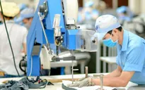 Trong tháng 5/2025 ban hành Kế hoạch hành động của Chính phủ triển khai Nghị quyết 68