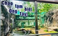 Xúc động lễ chia tay “ông” hổ Tây ở Thảo Cầm Viên Sài Gòn