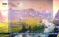 Buổi sáng thức giấc - 11/5/2025