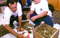 Nổ trong quá trình xử lý đạn dược tại Indonesia, 13 người chết