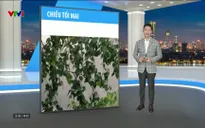 Bản tin thời tiết 19h45 - 14/5/2025