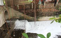 Đồng Nai: Suối Bà Lúa sủi bọt trắng, nghi xả thải công nghiệp