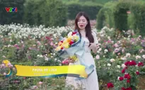 S - Việt Nam: Đến Sapa đắm chìm trong thế giới hoa hồng