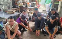 Xoá tụ điểm đá gà liên tỉnh ở Đà Nẵng