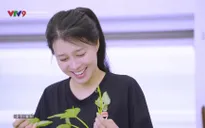 Tiếu Lâm du ký - 17/5/2025
