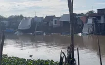 Sạt lở bờ sông ở An Giang, 10 căn nhà bị trôi xuống nước