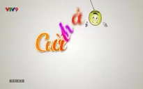Cười ơi Cười: Bí mật động trời