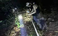 Giải cứu 5 người lạc trên đỉnh núi Hàm Lợn ở Hà Nội