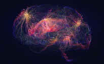 Alzheimer có thể bắt đầu từ một đoạn gene duy nhất - và AI vừa lần ra manh mối ấy