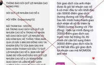 Đầu tư qua MoMo Pro giả mạo, người đàn ông mất hơn 300 triệu đồng